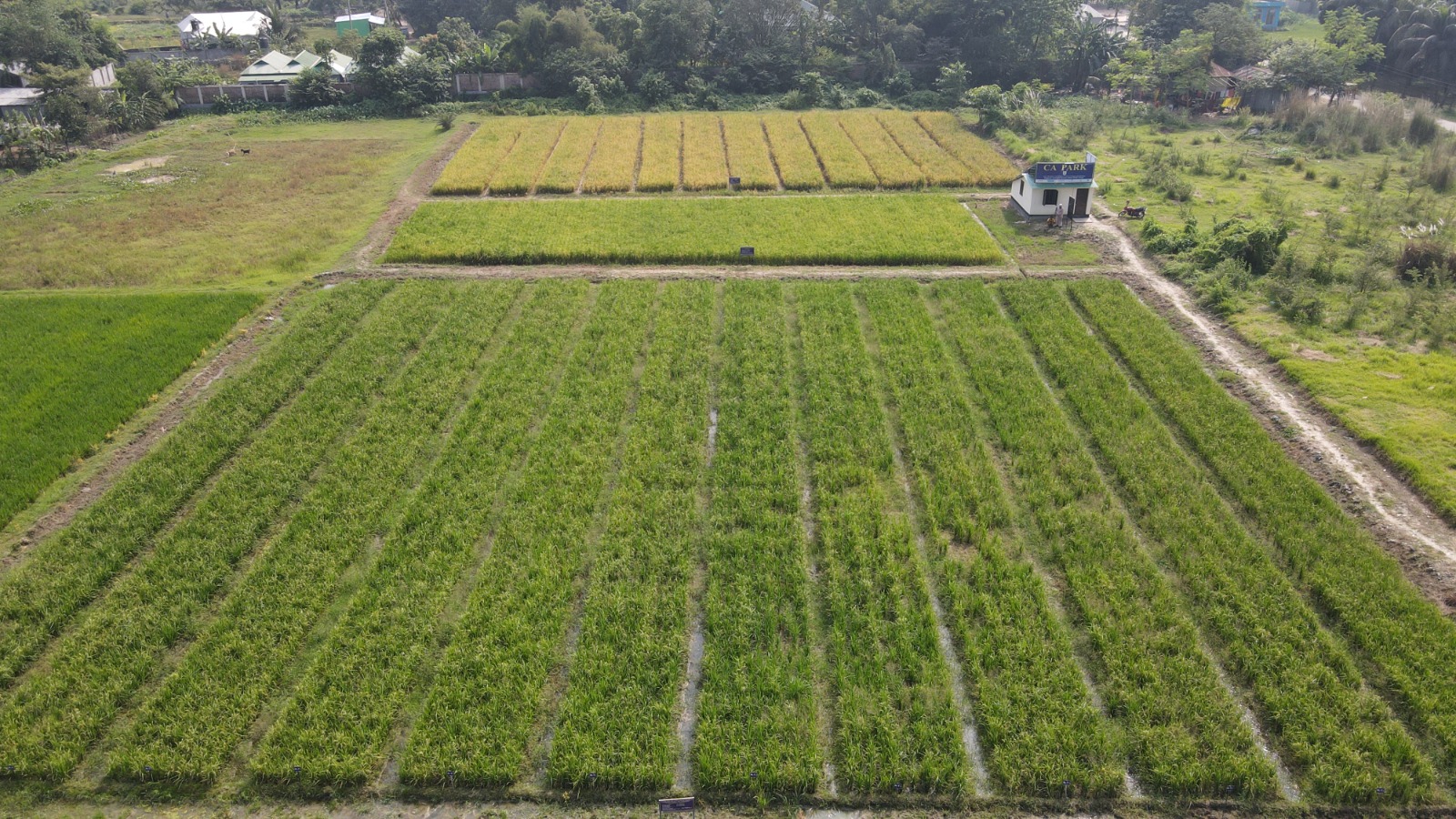 Exhibition center in boston