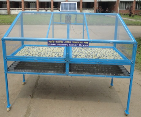 BARI Handy Solar Dryer