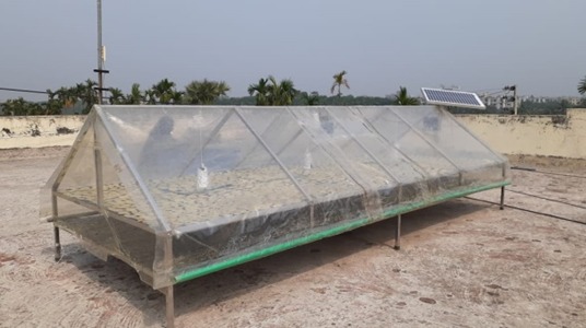 BARI Solar Tunnel Dryer